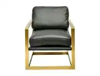 LivingStyles Cutana Faux Leather & Stainless Steel Armchair, Black / Gold offer