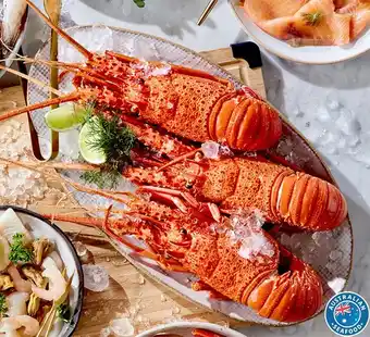 Coles Wa thawed msc whole cooked rock lobster offer