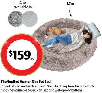 Coles TheNapBed Human Size Pet Bed offer