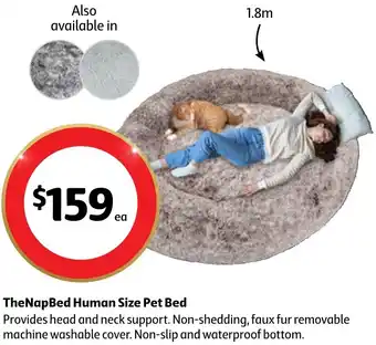 TheNapBed Human Size Pet Bed