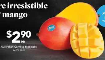 Drakes Australian Calypso Mangoes offer