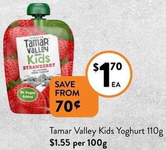 Foodworks Tamar Valley Kids Yoghurt 110g offer