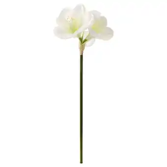 IKEA Vinterfint artificial flower, in/outdoor/amaryllis white, 60 cm offer