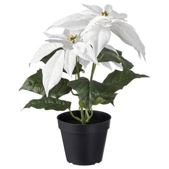 IKEA Vinterfint artificial potted plant, in/outdoor poinsettia/white, 12 cm offer
