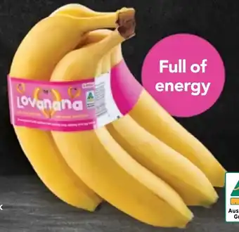 Australian Lovanana Banana 5 Pack