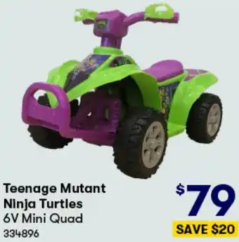 Teenage Mutant Ninja Turtles 6V Mini Quad