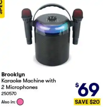 Brooklyn Karaoke Machine with 2 Microphones