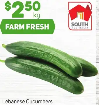 Lebanese Cucumbers