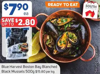 Foodland Blue Harvest Boston Bay Blanched Black Mussels 500g offer