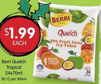 Spudshed Berri Quelch Tropical 24x70ml offer