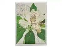 LivingStyles Oasis Timber Framed Wall Art Print, Magnolia Bloom, 120cm offer