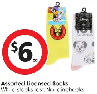 Assorted Licensed Socks