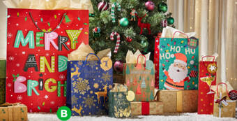 Woolworths Christmas Gift Bags offer