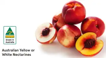 Australian Yellow or White Nectarines