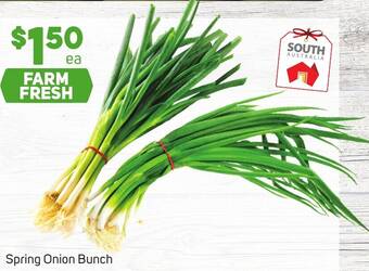 Foodland Spring Onion Bunch offer