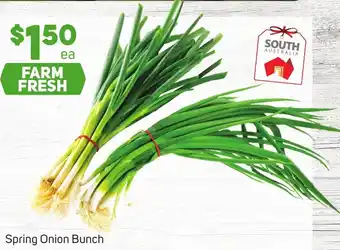 Foodland Spring Onion Bunch offer