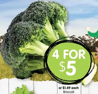 Broccoli