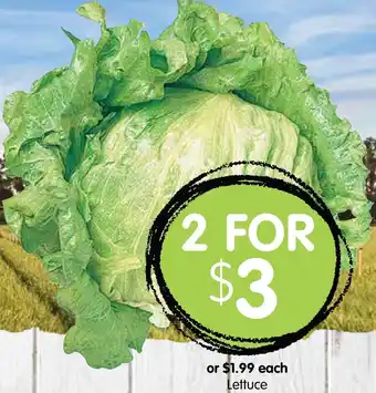 Spudshed Lettuce offer