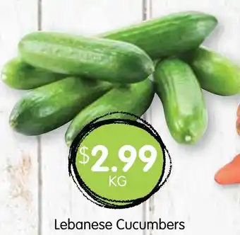 Spudshed Lebanese Cucumbers offer