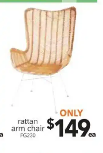 Rattan Arm Chair - FG230