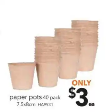 Cheap as Chips Paper Pots 40 Pack offer