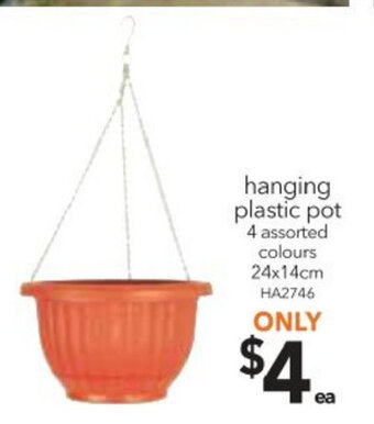 Hanging Plastic Pot