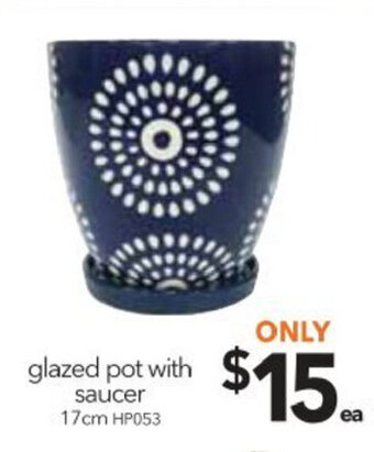 Glazed Pot with Saucer 17cm