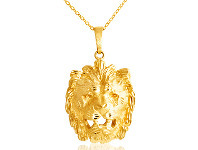 Shiels 9ct Yellow Gold Lion Head Pendant offer