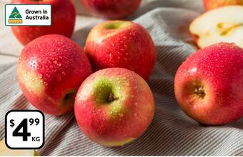 Foodworks PINK LADY APPLES offer