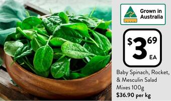Foodworks Baby Spinach, Rocket, & Mesculin Salad Mixes 100g offer