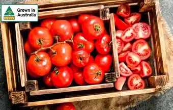 Foodworks Truss Tomatoes offer