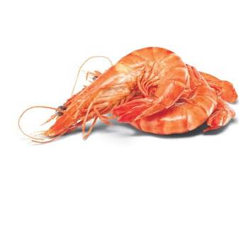 Woolworths Thawed extra large cooked australian tiger prawns offer