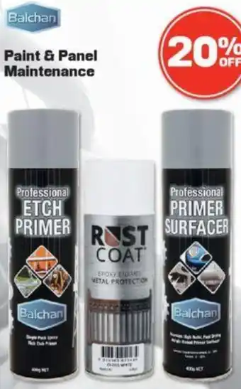Paint & Panel Maintenance
