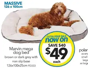Cheap as Chips Marvin mega dog bed offer