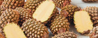 Coles Australian Sweet Topless Pineapple offer