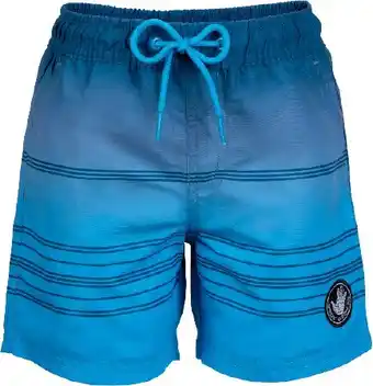 Anaconda Body glove kid’s striped swim short offer