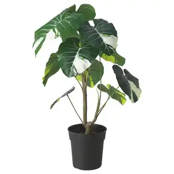 IKEA Fejka artificial potted plant, in/outdoor elephant ear, 19 cm offer