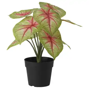 IKEA Fejka artificial potted plant, in/outdoor dasheen, 9 cm offer