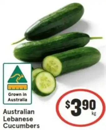 IGA Australian Lebanese Cucumbers offer