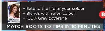 Foodland Clairol Root Touch Up 1 Pack offer