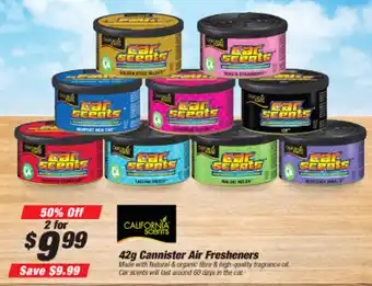 Cannister Air Fresheners 42g