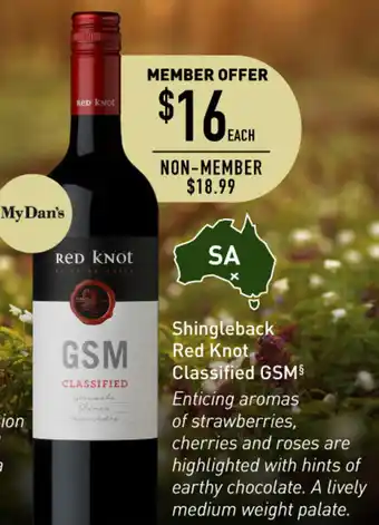 Shingleback Red Knot Classified GSM