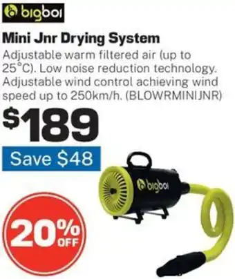 Repco Mini Jnr Drying System offer