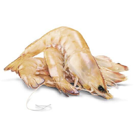 Thawed large australian green banana prawns offer at Woolworths