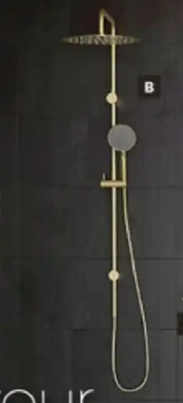 Harvey Norman Caroma 'Urbane II' Twin Shower System in Brushed Brass offer