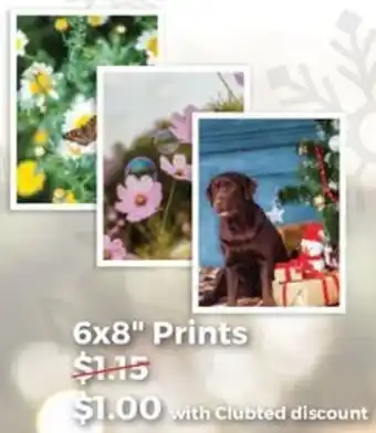 Teds Cameras 6x8" Prints offer