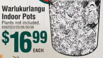 Warlukurlangu Indoor Pots