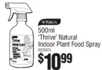 'Thrive' Natural Indoor Plant Food Spray