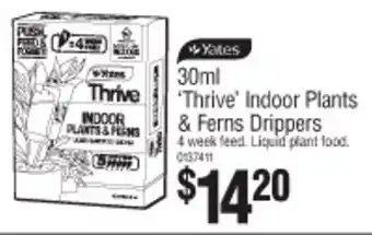 'Thrive' Indoor Plants & Ferns Drippers