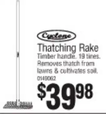 Bunnings Thatching Rake offer